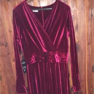 NWT! Velvet Maxi Dress